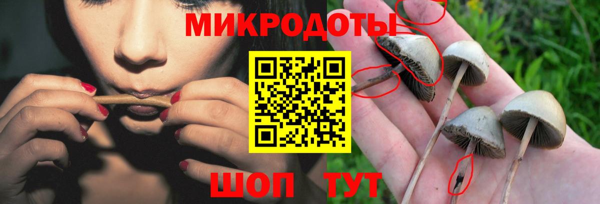 Протвино  Псилоцибиновые грибы мицелий  Вход с VPN 